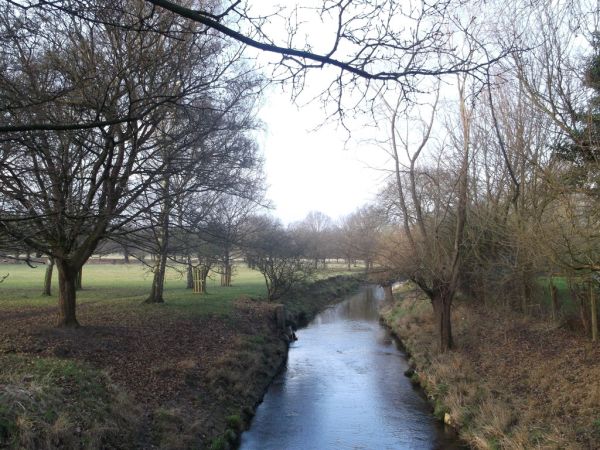 Section of the Brook 